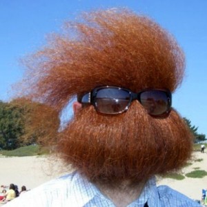 The Muppet Beard